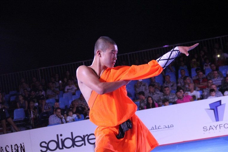 Martial Arts Festival
